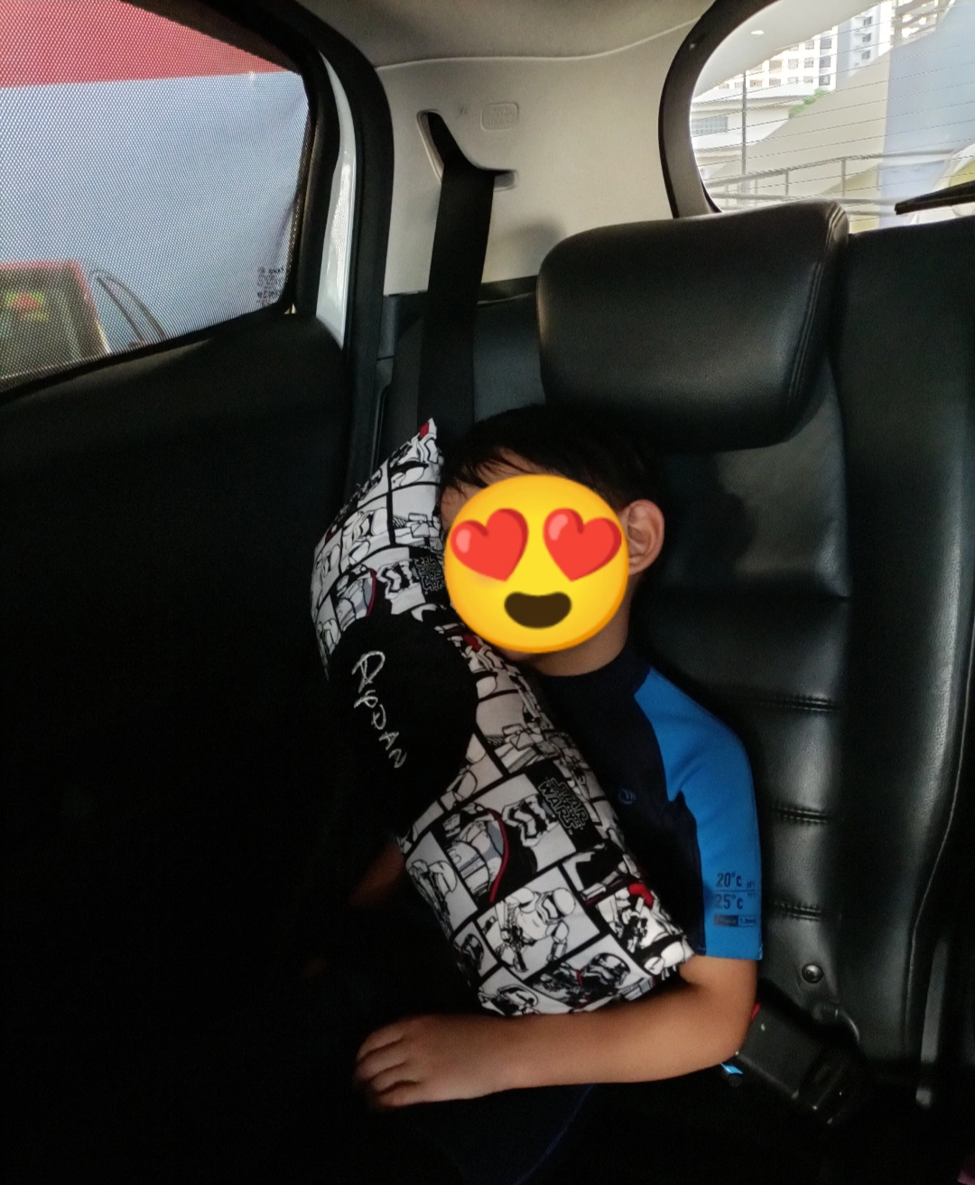 Multipurpose Seatbelt Pillow